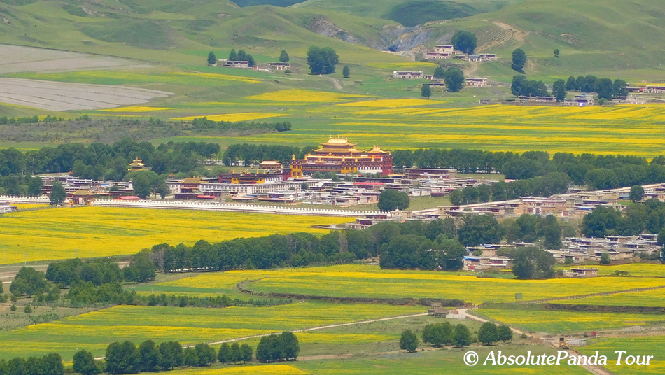 Driving-over-the-Yala-Pass-to-Huiyuan-Monastry.JPG