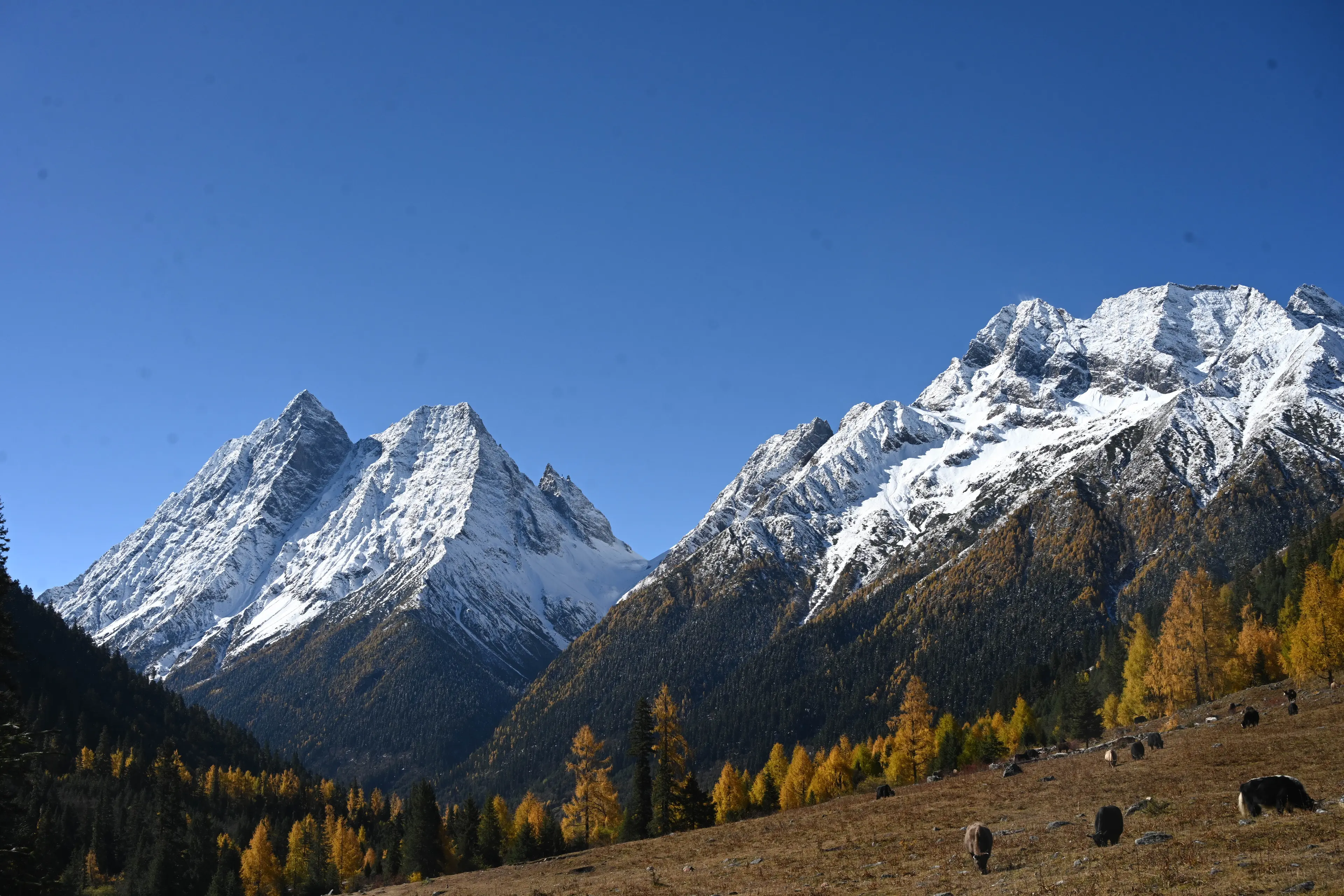 Mountain landscape at Four Girls Mountain (2)