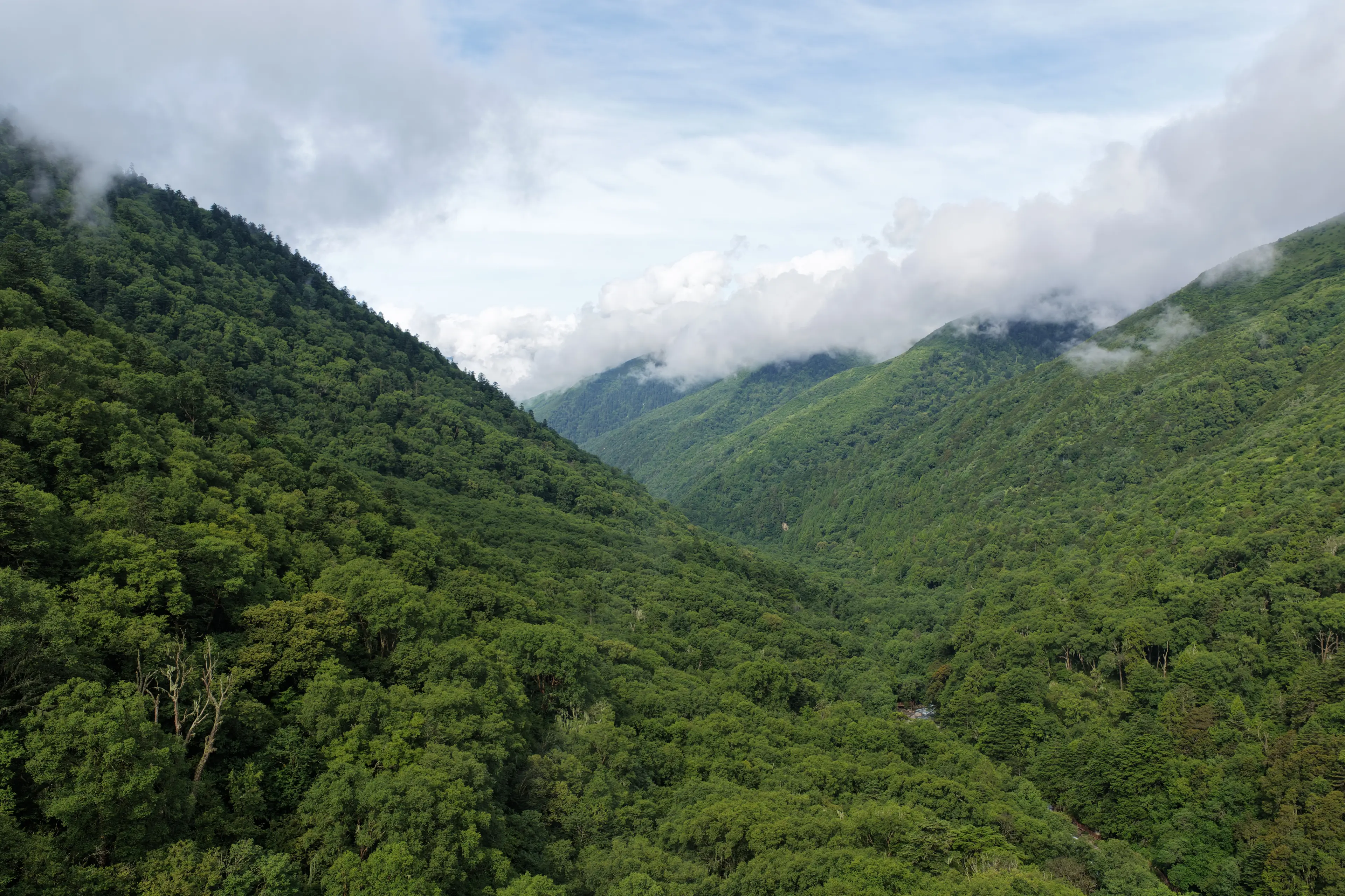 Mountain landscape at Jiajinshan, landscape