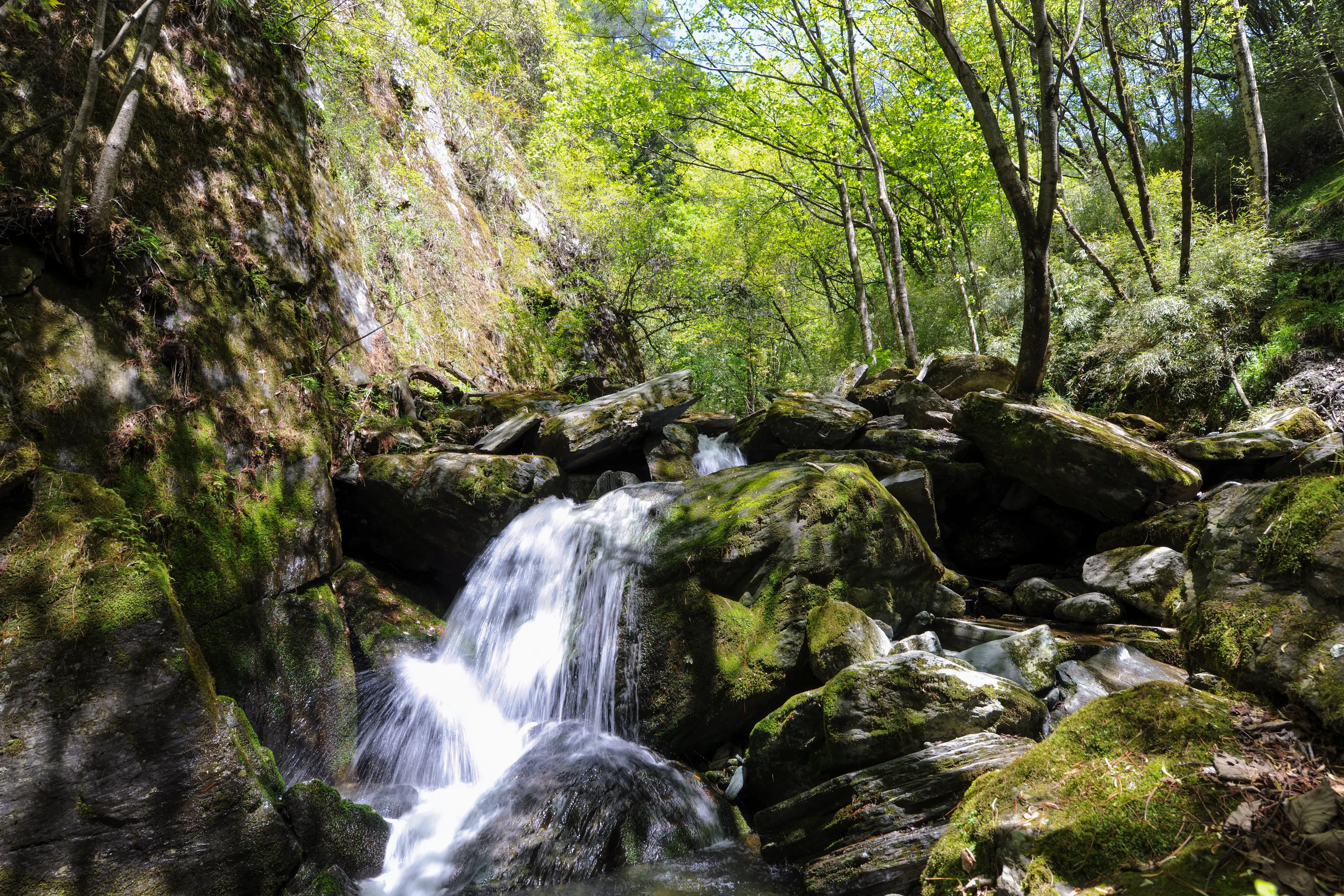 Mountain stream at Tangjiahe