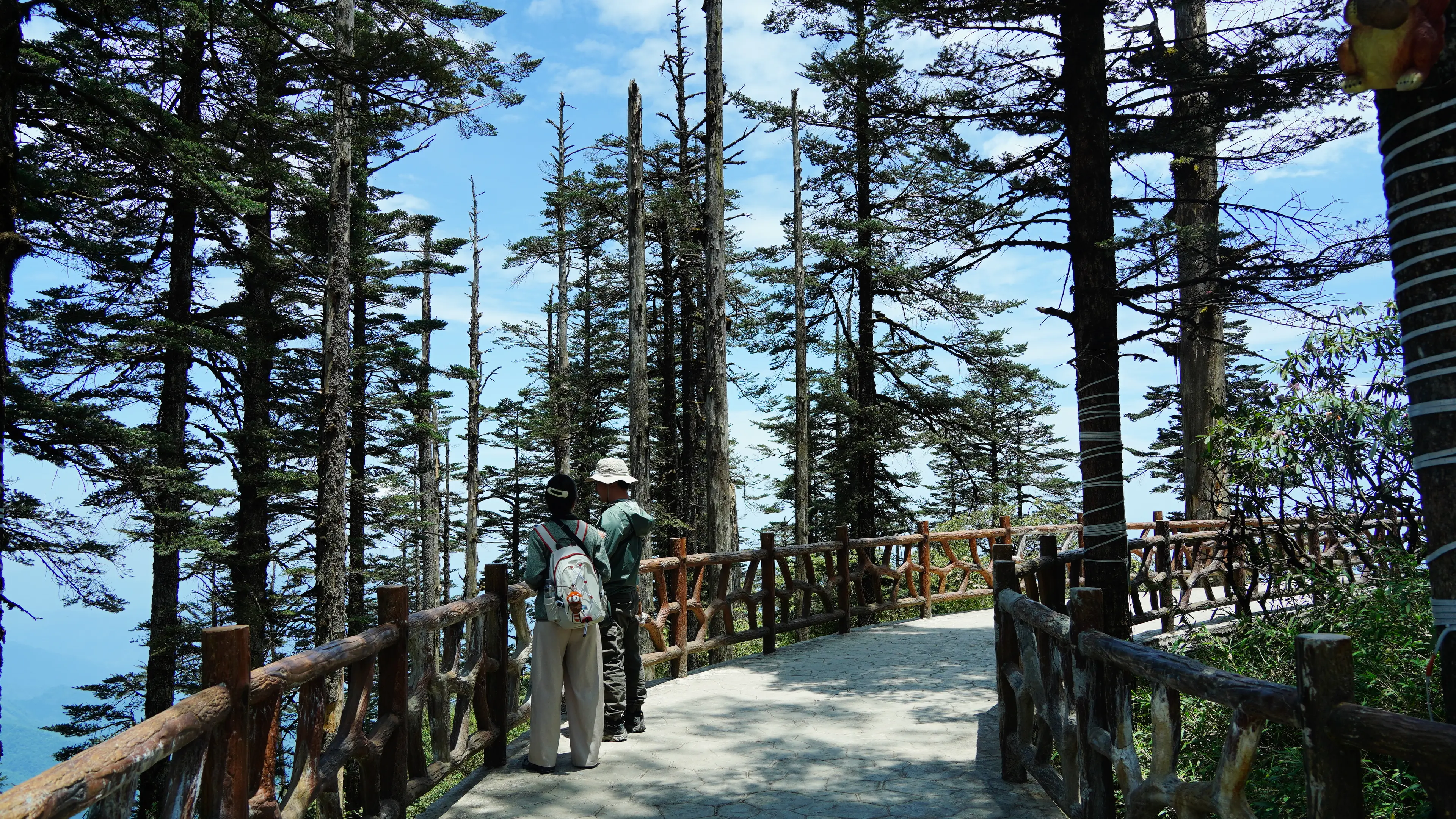 wawushan-national-forest-park-scenery.jpg
