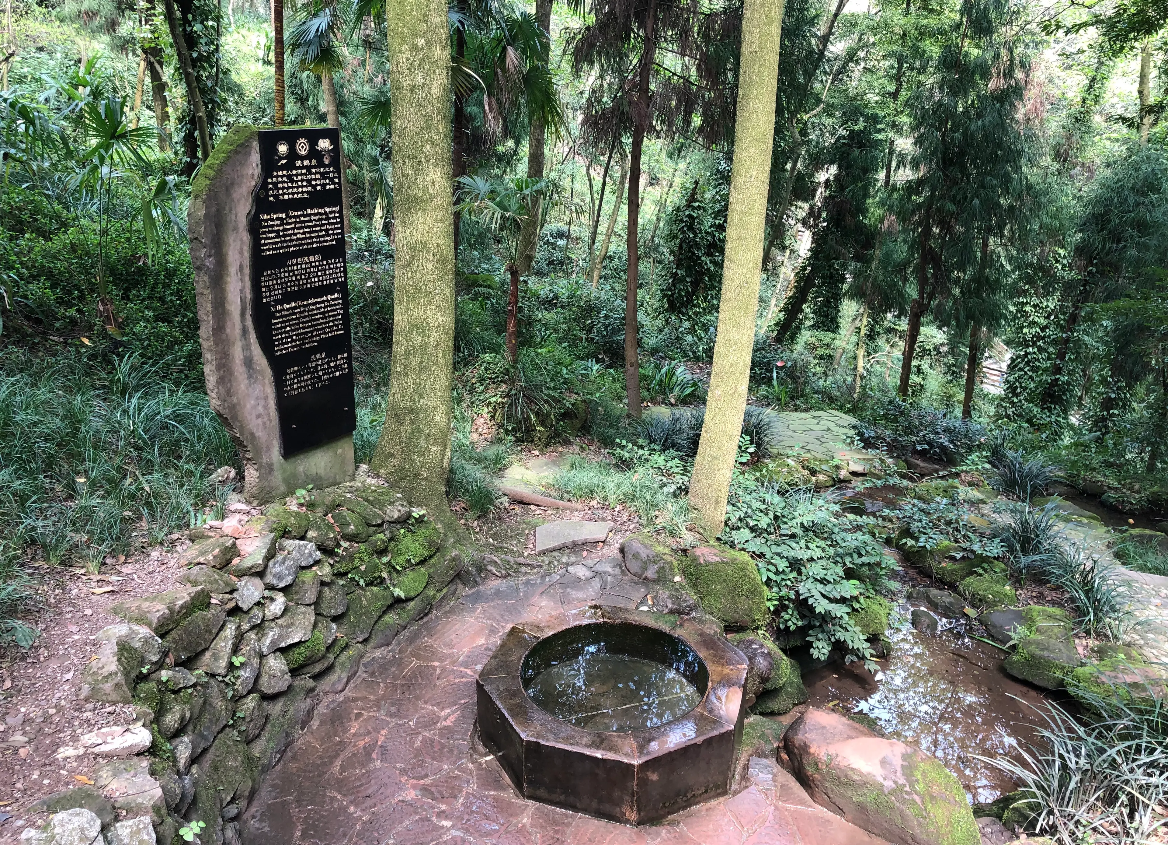 Mount Qingcheng at Sichuan (3)