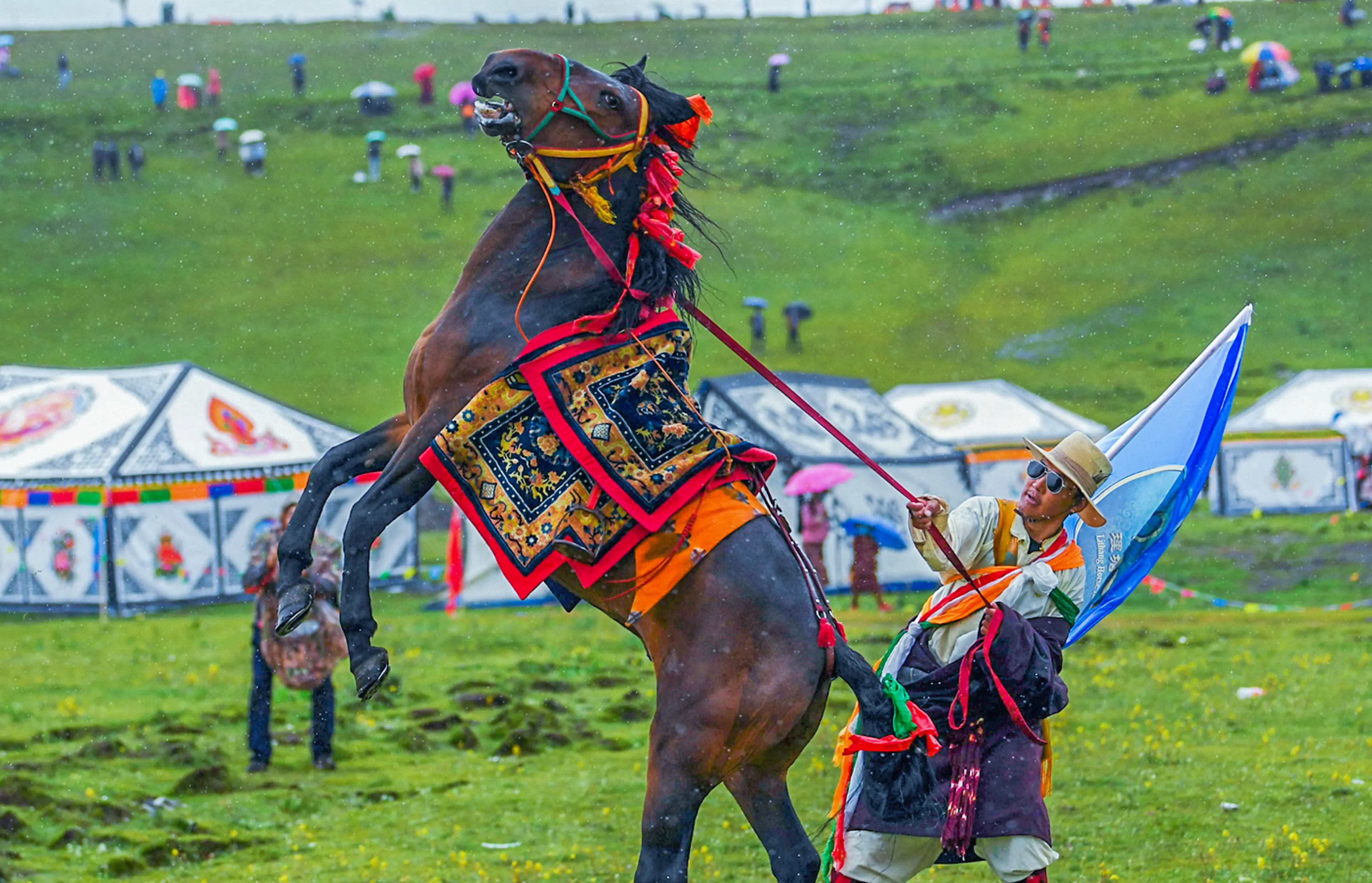 Litang horse racing at Litang (6)