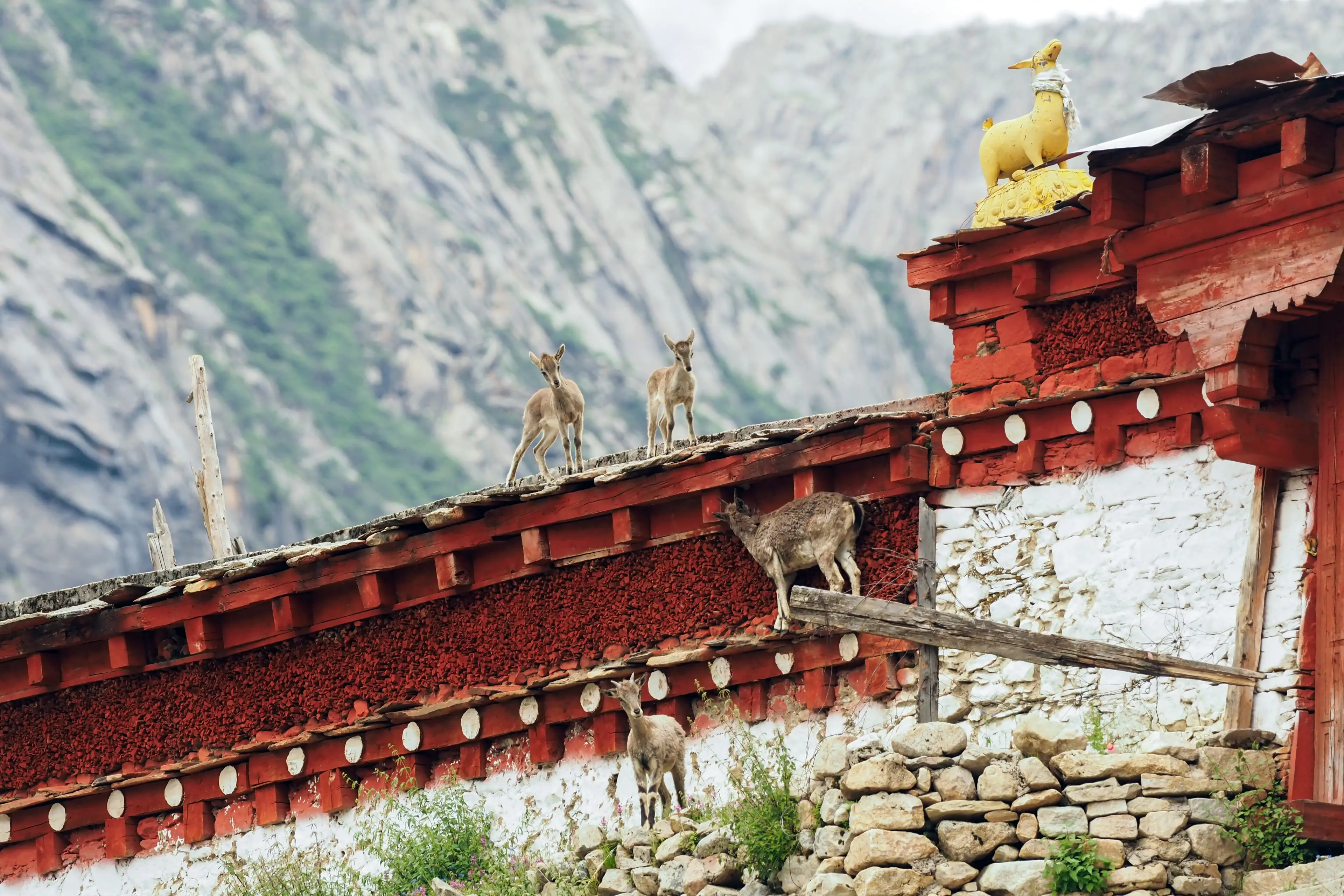 Tibetan monastery at Litang