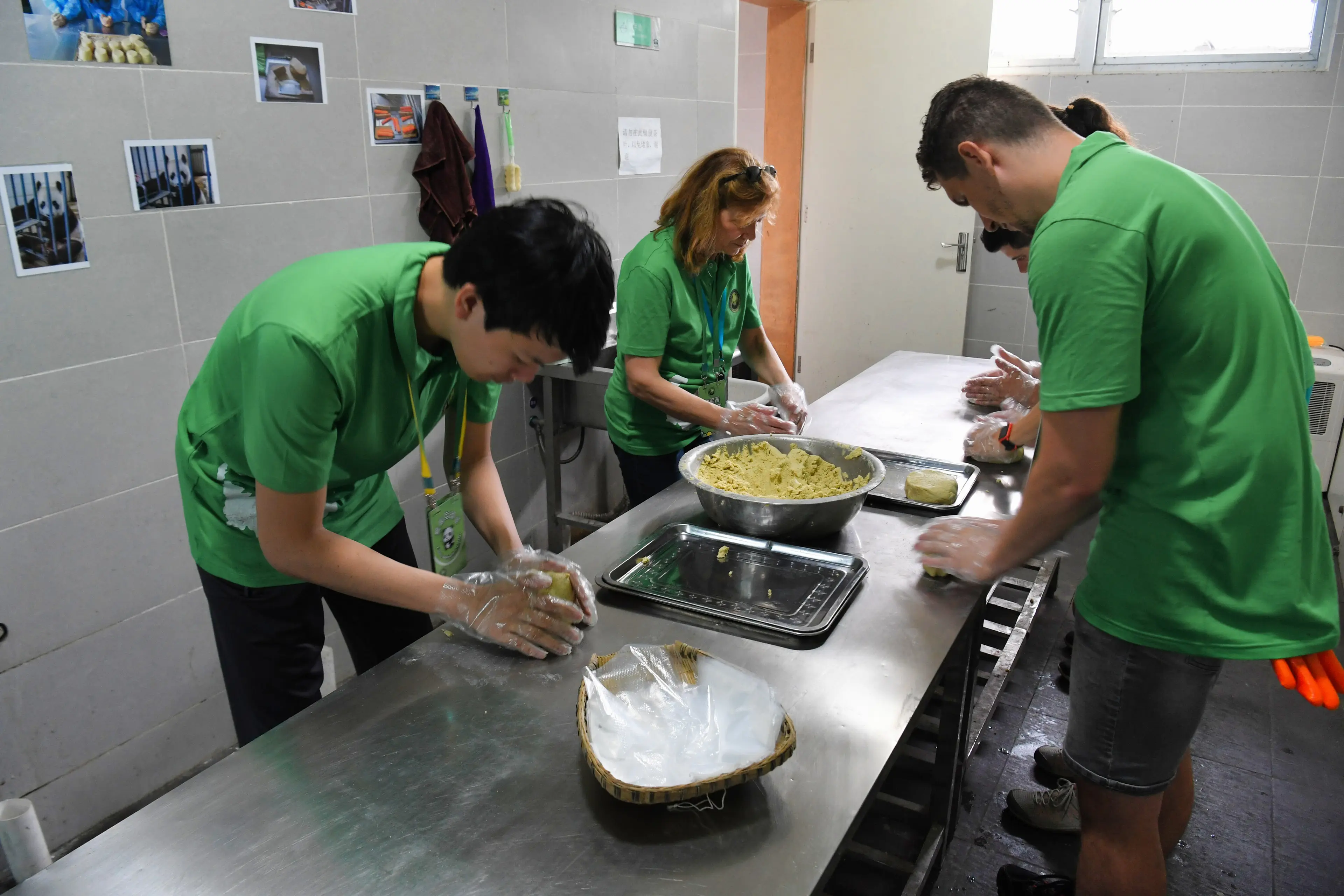 Volunteer panda cake workshop at Wolong