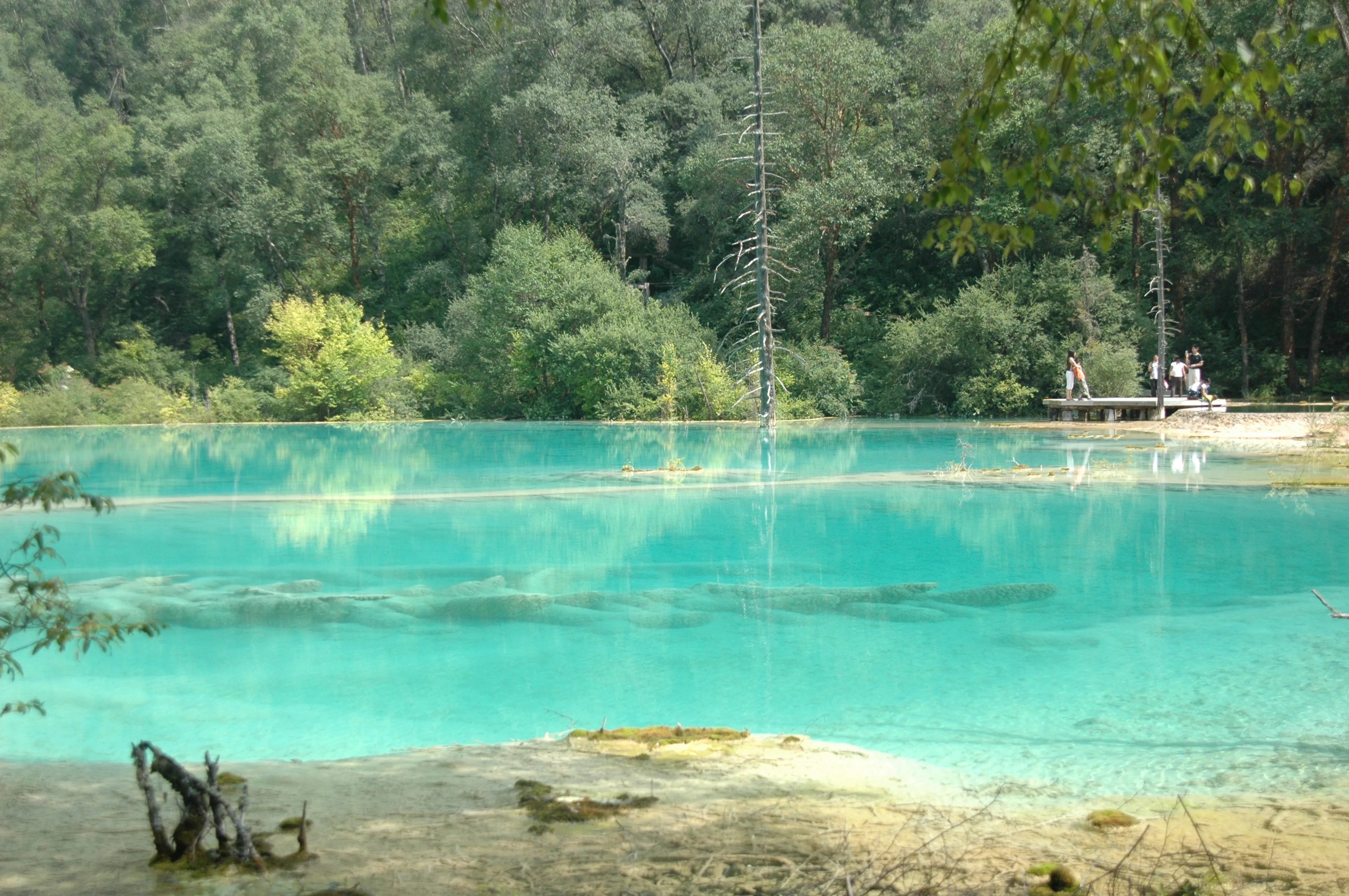 beauty huanglong