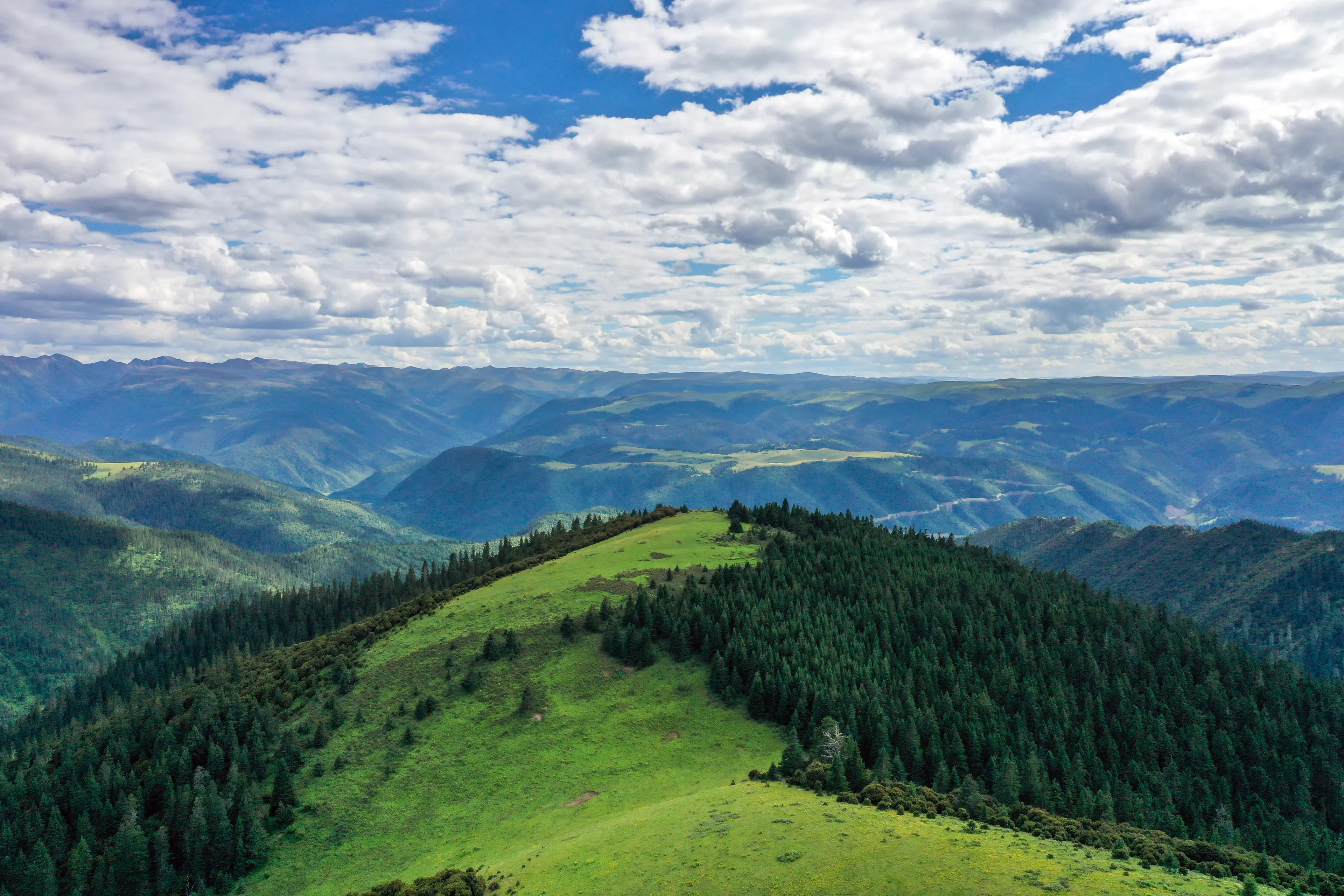 Field photograph at Litang, aerial